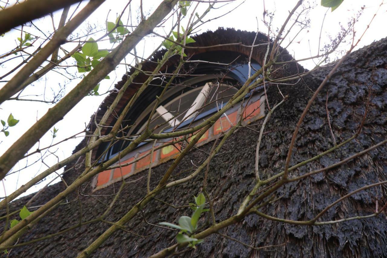 Cavalli'S Cottage Bilthoven Zewnętrze zdjęcie
